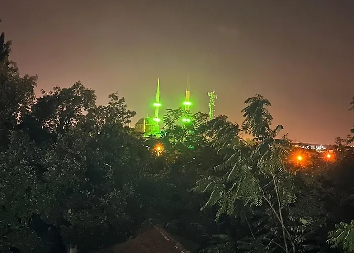 Lux Kavakli فيلة *